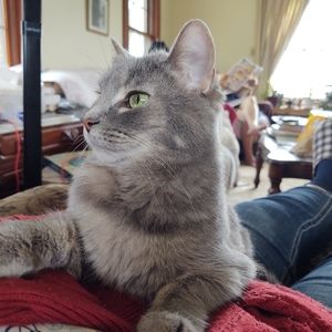 Is this my best side?  Or.......?